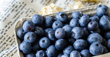 Dieta planetarna – na czym polega i po co ją stosować?
