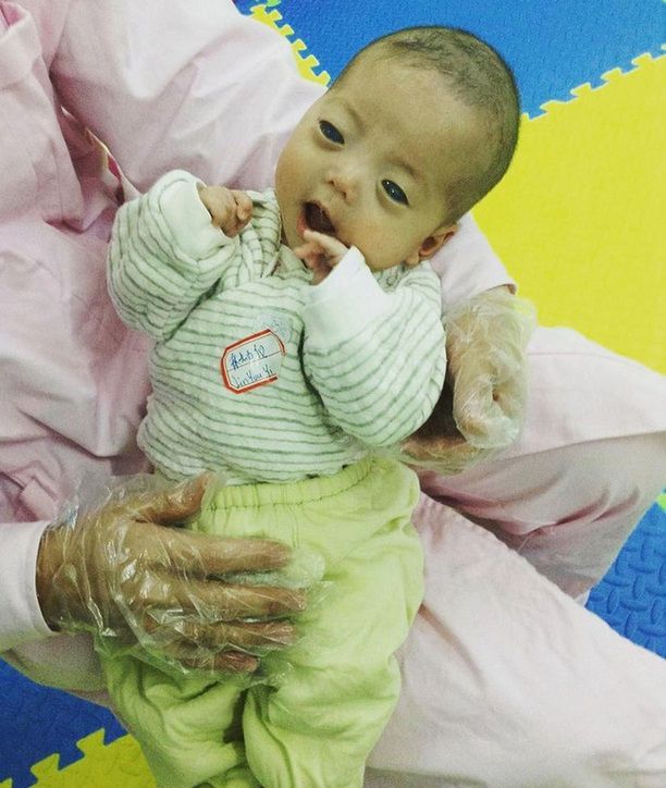 Primrose urodziła się ze srebrnymi oczami