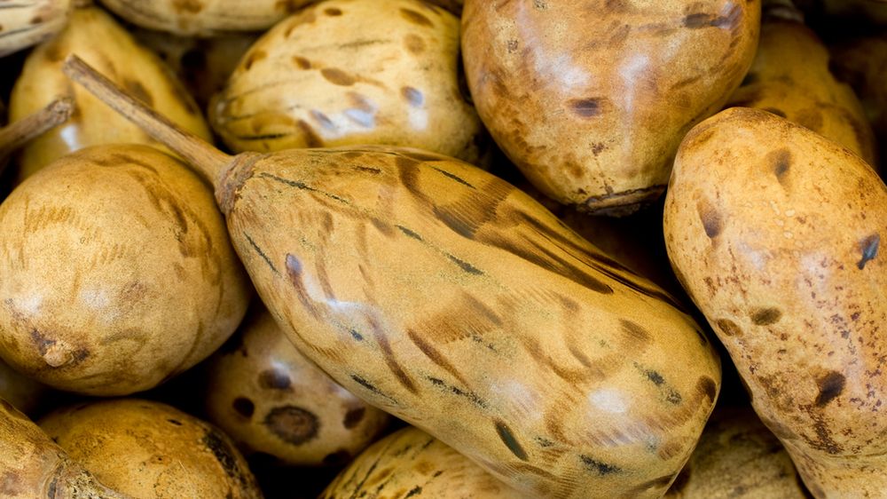 ​Owoc baobabu – właściwości odżywcze, zalety, baobab w diecie