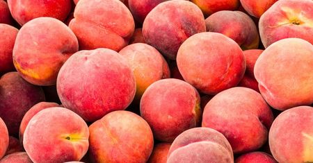 Tak rozpoznasz idealną brzoskwinię. Zasada piłki bejsbolowej