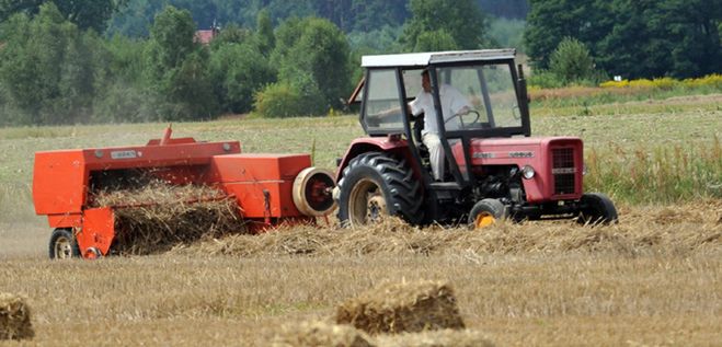 Bezrobocie schowało się na wsi