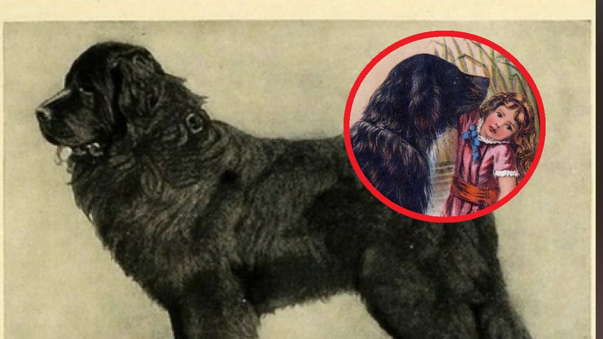 Pies, który topił dzieci