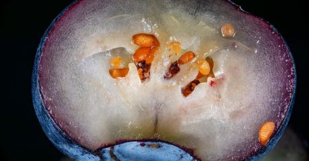 Najzdrowszy olej. W miesiąc wypłukuje cholesterol z tętnic