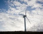 Google inwestuje prawie 40 milionów dolarów w elektrownie wiatrowe