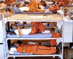 450 więźniów zwolnionych w wyniku usterki w programie komputerowym