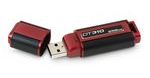 Pendrive o pojemności 256 GB - Kingston DataTraveler 310