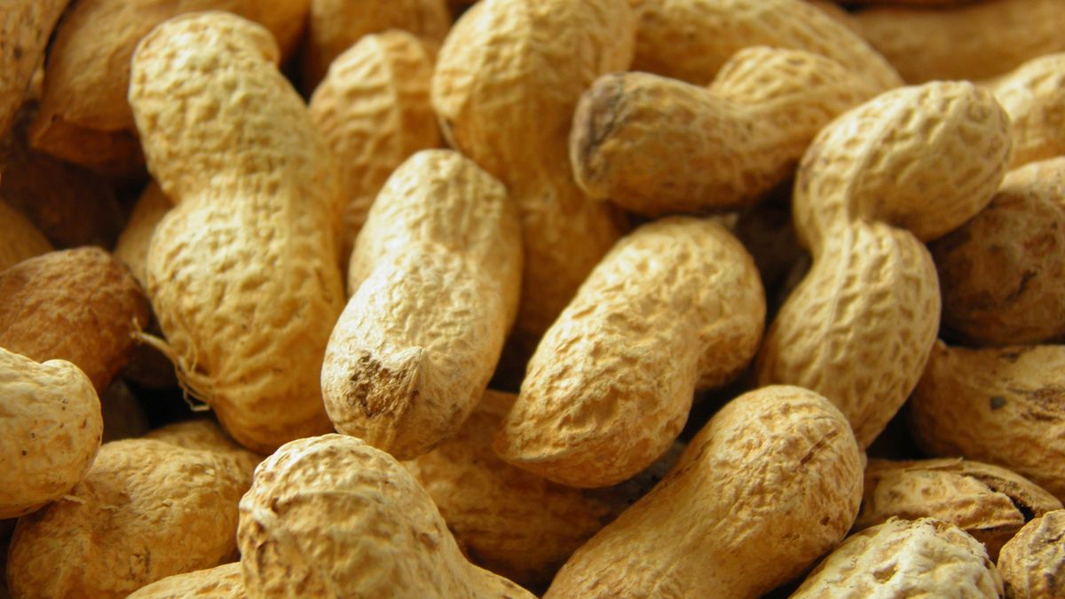 Kwas arachidonowy zaliczany jest do kwasów tłuszczowych omega-6.