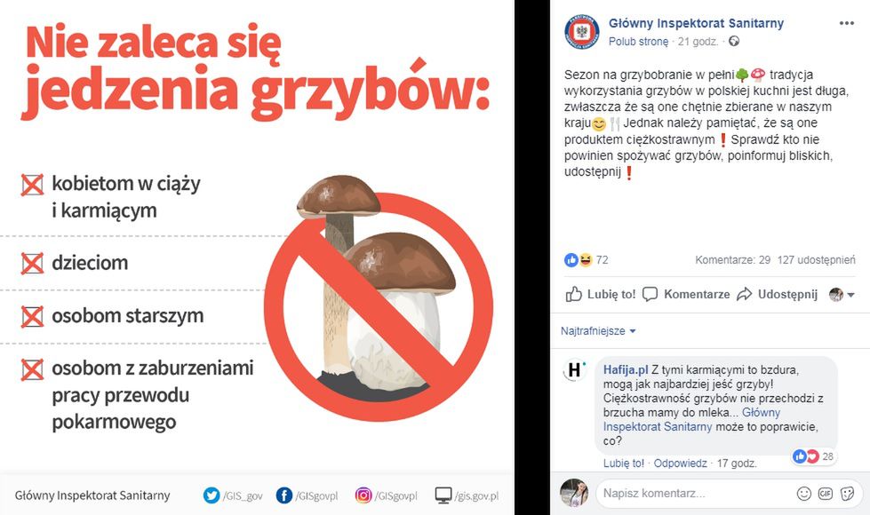 GIS ostrzega matki karmiące przed grzybami. Czy słusznie?