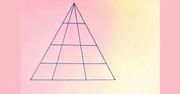 Ile trójkątów widzisz? Zagadka wprawiła internautów w zakłopotanie