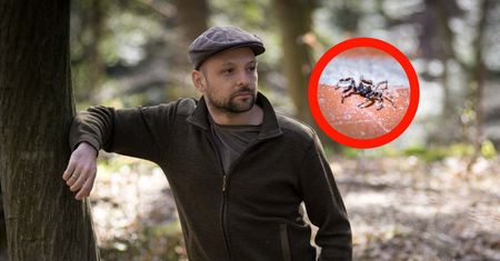 Leśnik radzi, by nie wyganiać ich z ogrodu. Są niezwykle pożyteczne
