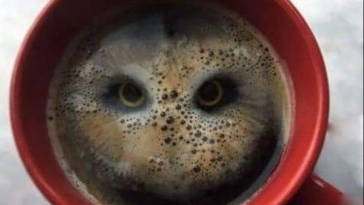 Po co nam optyczne zagadki?