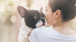 Naukowcy potwierdzili, że psy upodabniają się do swoich właścicieli