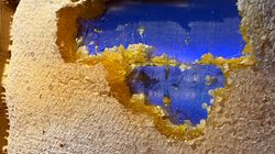 Propolis - pszczele złoto dla twojego zdrowia. Działa przeciwstarzeniowo i chroni serce