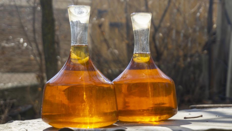 Te oleje są najzdrowsze