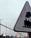 Nie ma wyjścia. Samorządy do reformy