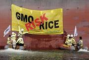 EFSA kwestionuje badania wskazujące na szkodliwość GMO