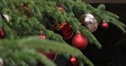 Uwaga na świąteczne ozdoby choinkowe!
