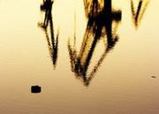 Strajk dokerów paraliżuje porty