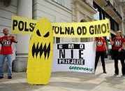 Polska wznawia debatę o zakazywaniu GMO