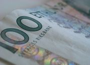 Szwecja: Korona skutecznie rywalizuje z frankiem