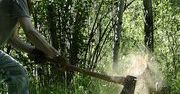 Państwo znów dobrało się do Kluski
