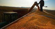 Portugalia: Rolnicy zarabiający powyżej 10 tys. euro będą płacić VAT