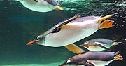 Wrocławskie ZOO szykuje megainwestycję