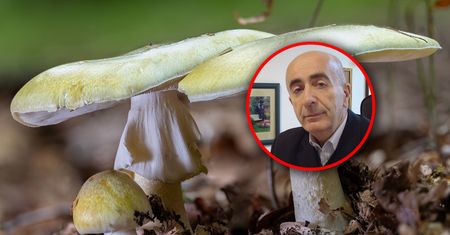 Mają tylko 36 godzin na przeszczep. Do zatrucia wystarczy odrobina toksyny