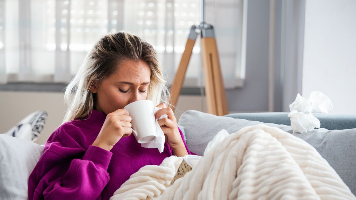 Przeciwciała to komórki układu odpornościowego wytwarzane w momencie kontaktu z bakteriami, wirusami lub pasożytami.