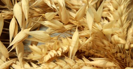 Komu grożą niedobory żywności? Które kraje importowały z Ukrainy dużą ilość zbóż?