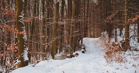 Nadchodzi zmiana w pogodzie. Od poniedziałku do Polski wkroczy ocieplenie