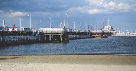 Sopot w strefie zagrożenia wystąpienia ptasiej grypy.