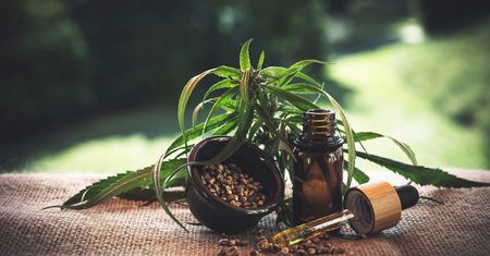 Olejki CBD. Jak wpływają na zdrowie i samopoczucie?