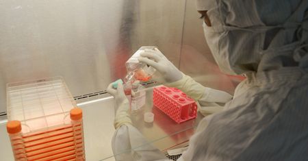 Ponad 900 nowych zakażeń. Znów duża liczba zgonów wśród zakażonych