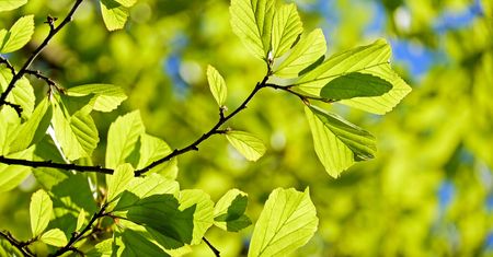 Pogoda na ostatni tydzień kwietnia. Temperatura dotkliwie spadnie