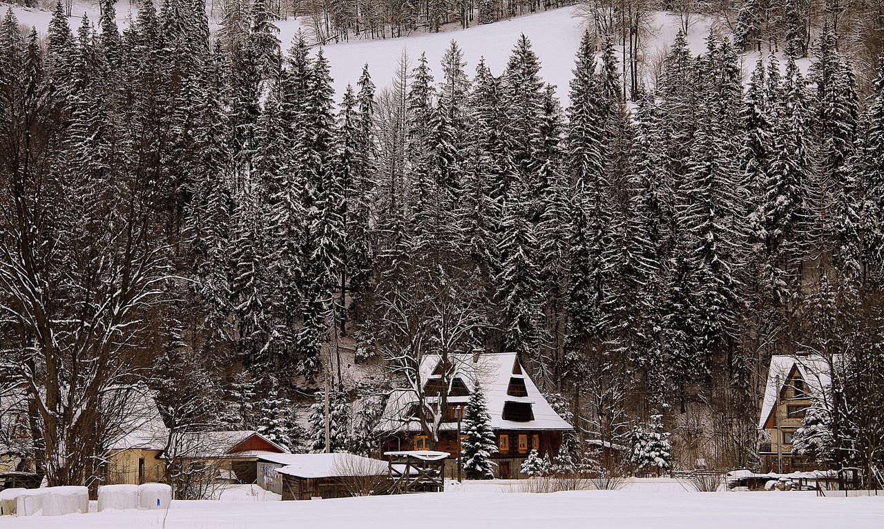 W Zakopanem ceny nieruchomości i gruntów biją kolejne rekordy. Kupują głównie inwestorzy z myślą o budowie apartamentów dla turystów