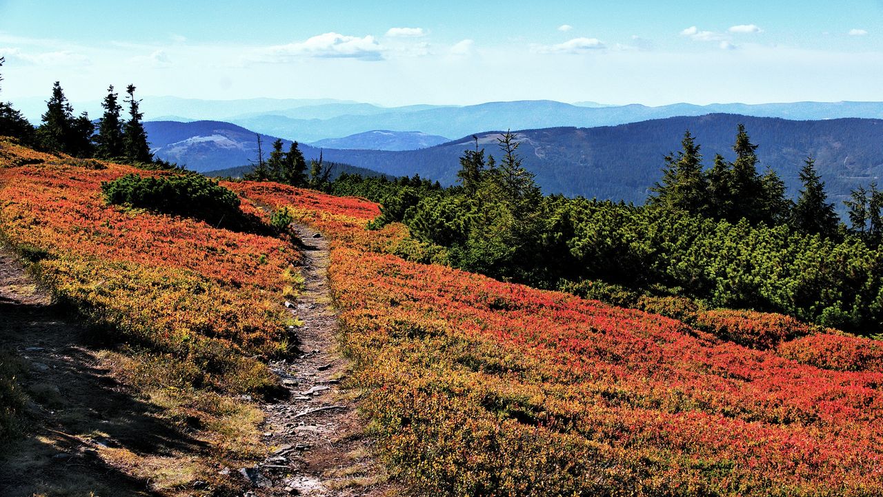 Poniedziałek jeszcze pogodny. Czeka nas deszczowy koniec września