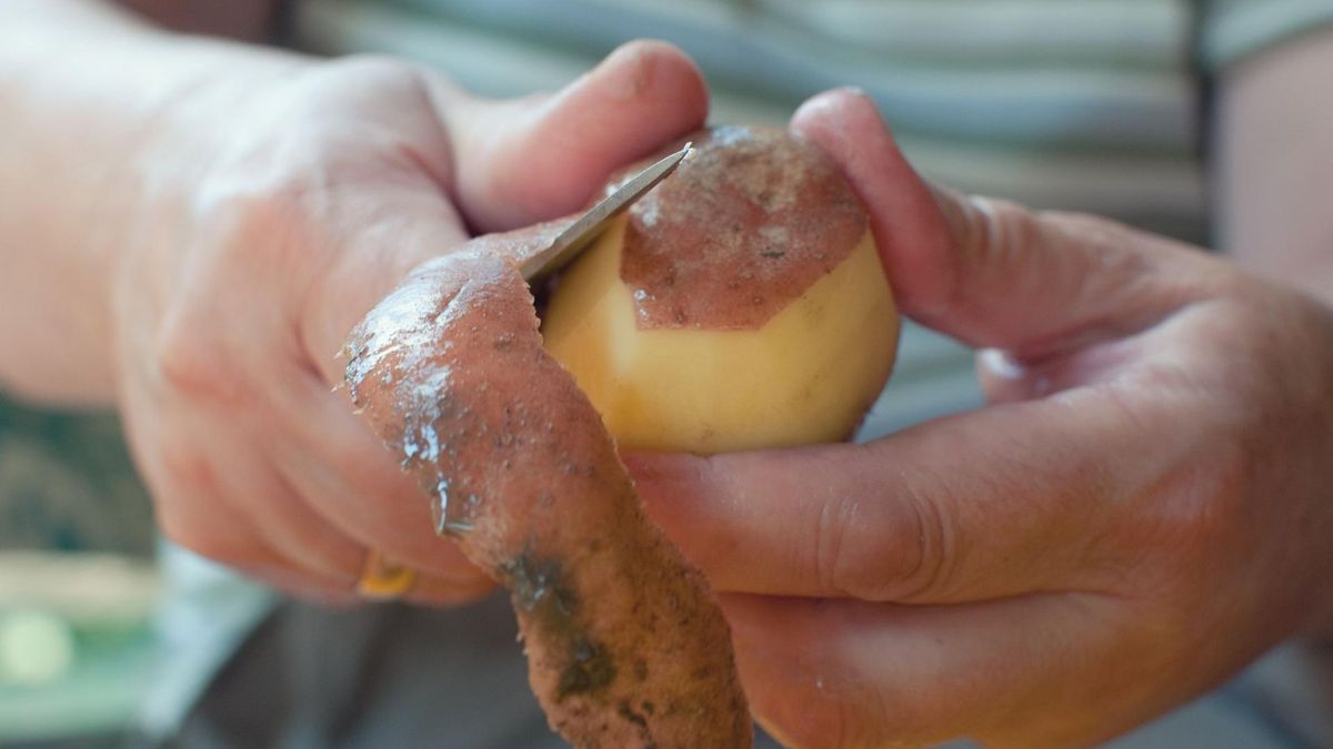 Skórki owoców i warzyw niekoniecznie powinny trafiać do kosza