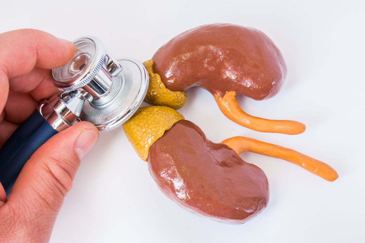 Kora nadnerczy – hormony, przyczyny  niedoczynność, objawy niedoczynności