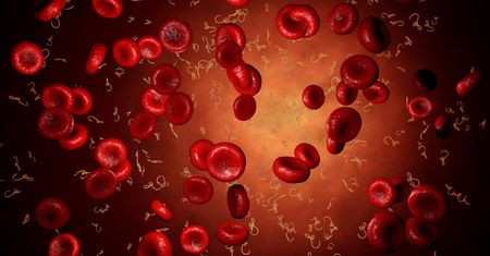 Naczyniak jamisty – charakterystyka, przyczyny, objawy, diagnostyka, leczenie