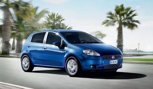 Lancia, Jeep i Alfa Romeo w górę. Fiat ostro w dół