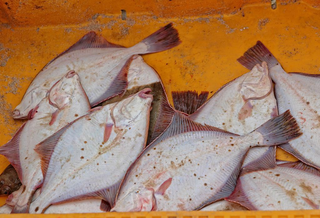 "Kopciuszek" polskich ryb. Tania i zdrowa, a Polacy omijają