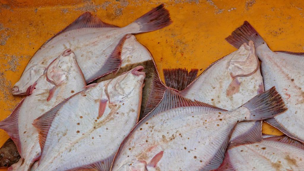 Prawdziwy "Kopcuszek" wśród polskich ryb. Tania i ma mało tłuszczu