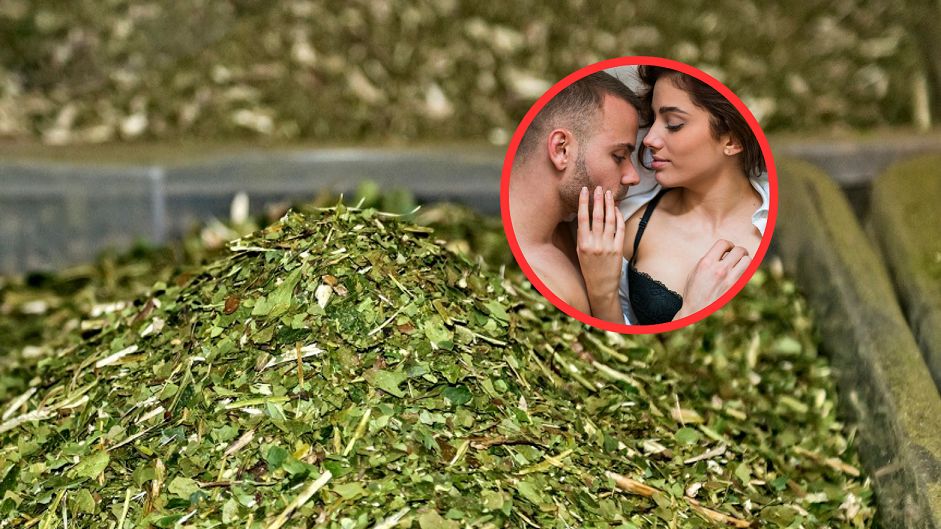 Naturalne afrodyzjaki są dosłownie wszędzie. Szukasz sposobu na podkręcenie temperatury w sypialni?