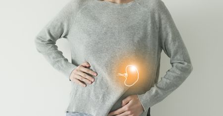 Śledziona - funkcje i choroby. Splenomegalia, czyli co oznacza powiększona śledziona?