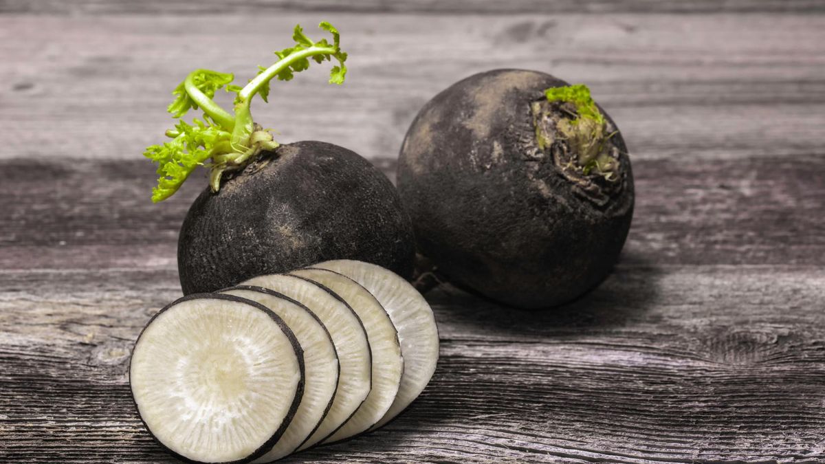 Czarna rzepa posiada cenne właściwości lecznicze.