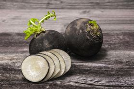 Czarna rzepa - składniki odżywcze, właściwości lecznicze, zastosowanie w kuchni