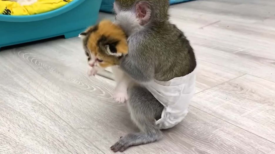 Łączy ich wyjątkowa relacja. Tak urocze, że można oglądać bez końca