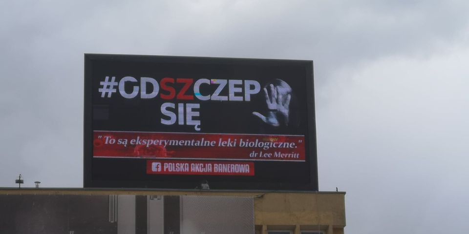 Plakat z cytatem &quot;ekspertki&quot;
