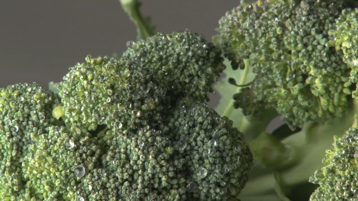 Brokuły są pełne składników odżywczych